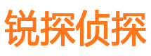 兴山侦探公司